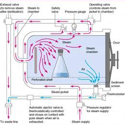 cdc steam sterilization